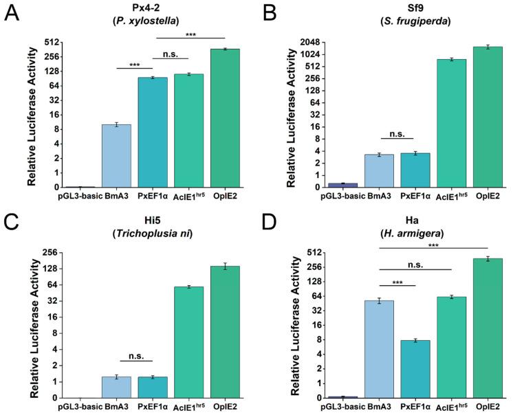 https://cdn.ncbi.nlm.nih.gov/pmc/blobs/ce45/11989005/ed264a0f415f/ijms-26-03042-g003.jpg