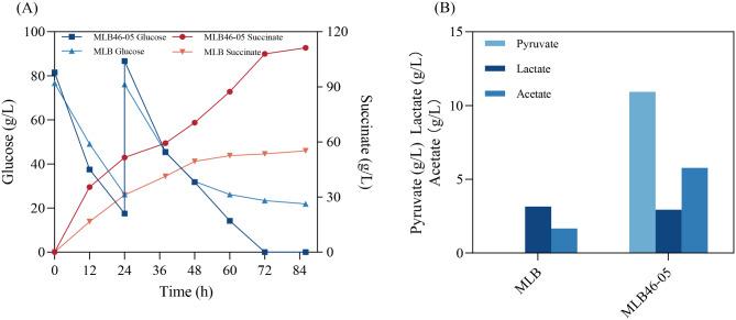 https://cdn.ncbi.nlm.nih.gov/pmc/blobs/ce49/10997558/1c5c8ec143d9/40643_2024_749_Fig6_HTML.jpg