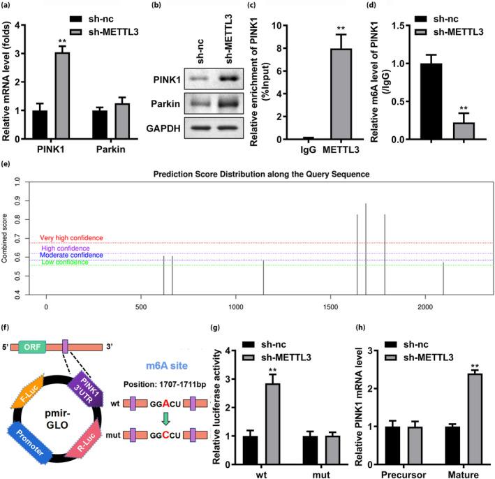 https://cdn.ncbi.nlm.nih.gov/pmc/blobs/ce4a/10906015/a0bd547f4570/JDI-15-288-g007.jpg