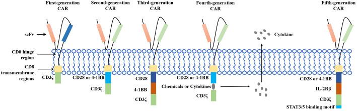 https://cdn.ncbi.nlm.nih.gov/pmc/blobs/ce4a/11375682/dfb74835e9ff/fimmu-15-1433315-g003.jpg