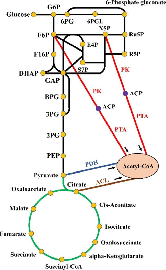 https://cdn.ncbi.nlm.nih.gov/pmc/blobs/ce4b/10122336/0622a4e10714/12934_2023_2090_Fig1_HTML.jpg