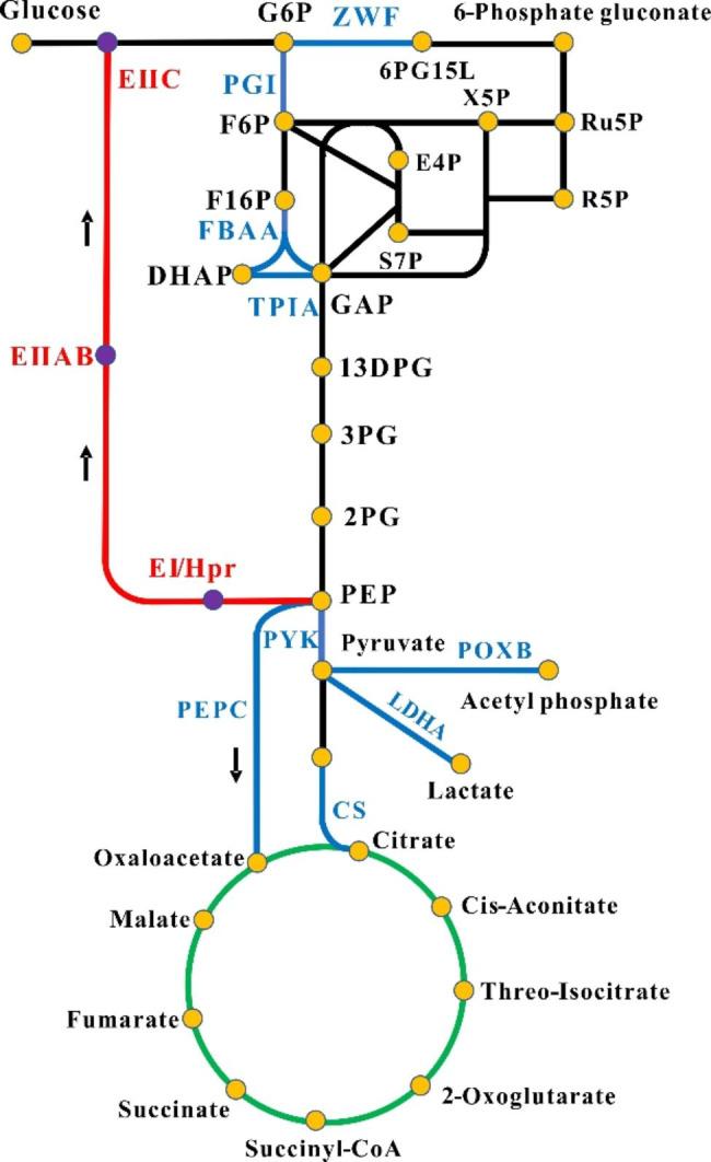 https://cdn.ncbi.nlm.nih.gov/pmc/blobs/ce4b/10122336/882a21e0c746/12934_2023_2090_Fig2_HTML.jpg