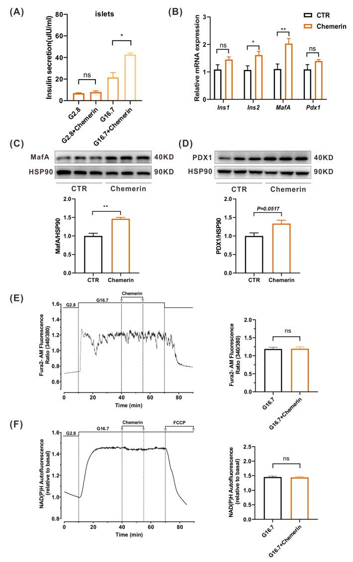 https://cdn.ncbi.nlm.nih.gov/pmc/blobs/ce4b/10252465/8346a0980723/ijms-24-09136-g006.jpg