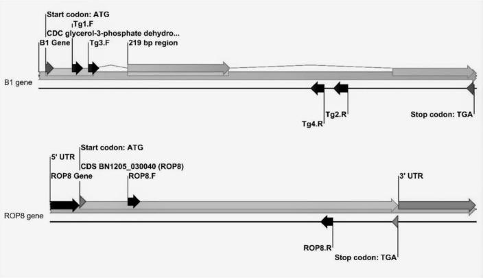 https://cdn.ncbi.nlm.nih.gov/pmc/blobs/ce4b/8710196/11def6eec229/IJPA-16-576-g001.jpg