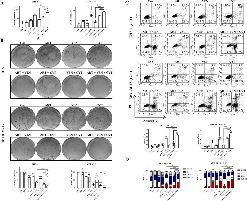 https://cdn.ncbi.nlm.nih.gov/pmc/blobs/ce4d/9021233/26271af02a97/41419_2022_4810_Fig4_HTML.jpg