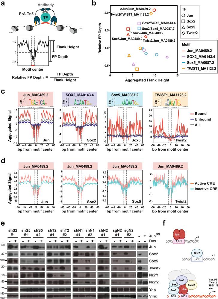 https://cdn.ncbi.nlm.nih.gov/pmc/blobs/ce4e/10017707/d8ca9b8042d4/41467_2023_37147_Fig6_HTML.jpg