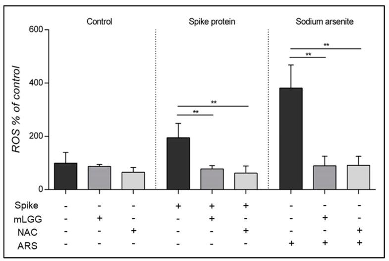 https://cdn.ncbi.nlm.nih.gov/pmc/blobs/ce4f/10604595/3dd2de30d4f4/antioxidants-12-01878-g004.jpg