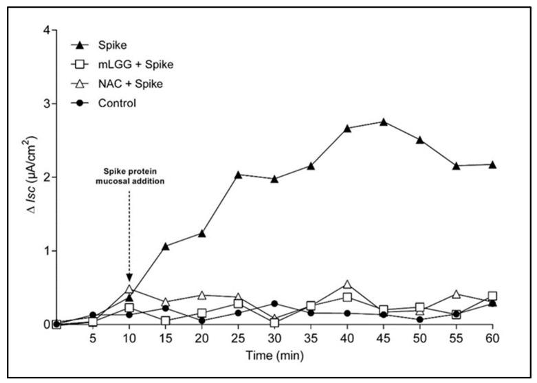 https://cdn.ncbi.nlm.nih.gov/pmc/blobs/ce4f/10604595/b8a38687bd3a/antioxidants-12-01878-g002.jpg