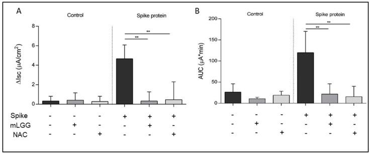 https://cdn.ncbi.nlm.nih.gov/pmc/blobs/ce4f/10604595/e2a047c54daa/antioxidants-12-01878-g001.jpg