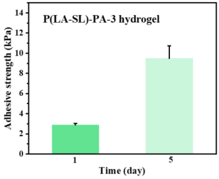 https://cdn.ncbi.nlm.nih.gov/pmc/blobs/ce4f/11124967/2983049b6d2c/polymers-16-01316-g0A3.jpg