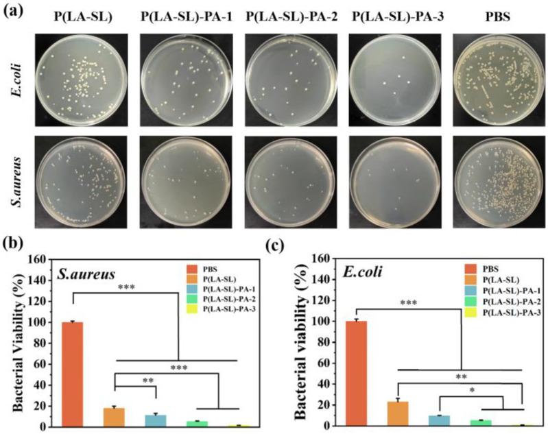 https://cdn.ncbi.nlm.nih.gov/pmc/blobs/ce4f/11124967/52ed6be72f46/polymers-16-01316-g006.jpg