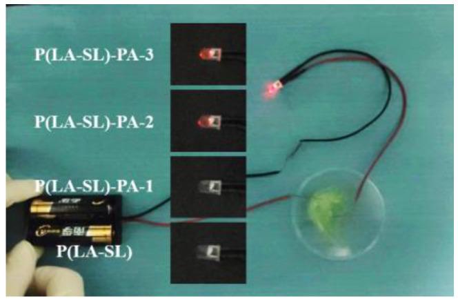 https://cdn.ncbi.nlm.nih.gov/pmc/blobs/ce4f/11124967/6e4ebda50777/polymers-16-01316-g0A4.jpg