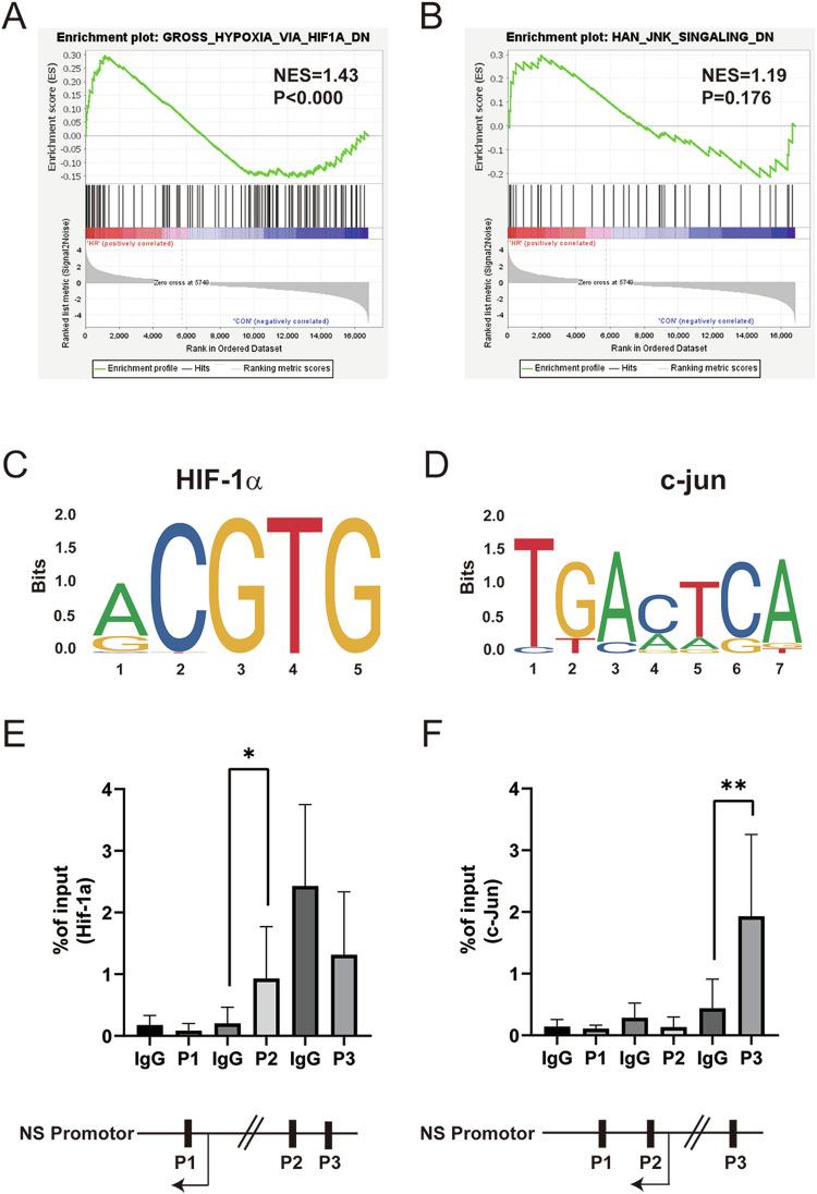 https://cdn.ncbi.nlm.nih.gov/pmc/blobs/ce4f/11525682/1d45e9e68dbb/41420_2024_2221_Fig3_HTML.jpg