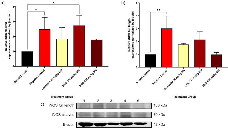 https://cdn.ncbi.nlm.nih.gov/pmc/blobs/ce50/12182249/b8ce09c69628/JEP-17-343-g0003.jpg