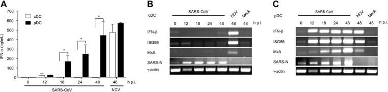 https://cdn.ncbi.nlm.nih.gov/pmc/blobs/ce50/8254533/010e5cdfbee1/gr6_lrg.jpg