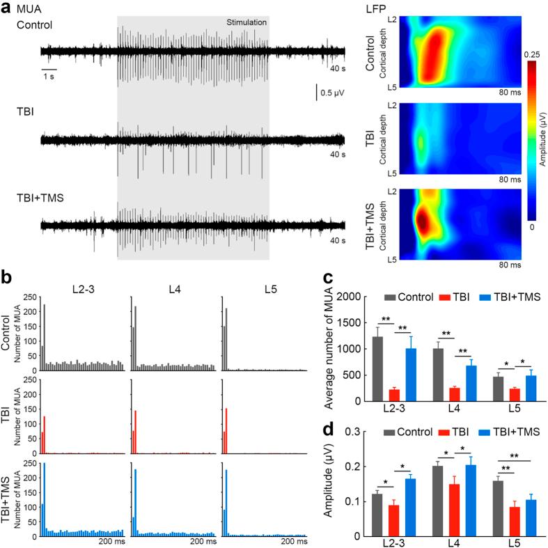 https://cdn.ncbi.nlm.nih.gov/pmc/blobs/ce51/4594036/05c4aa814001/srep14769-f2.jpg