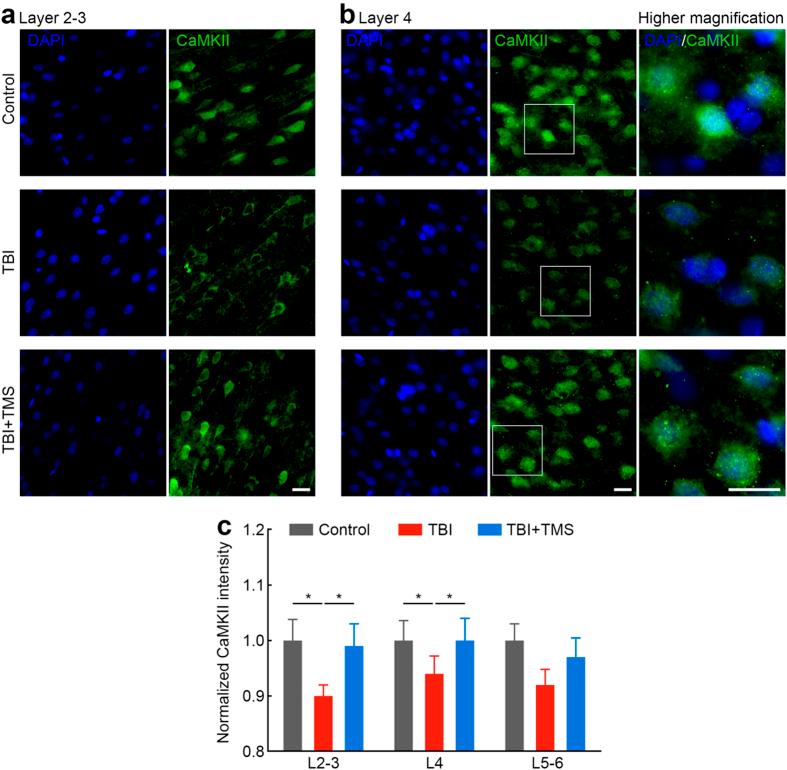 https://cdn.ncbi.nlm.nih.gov/pmc/blobs/ce51/4594036/2cd86528868a/srep14769-f1.jpg