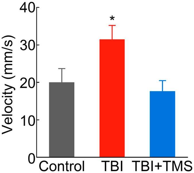https://cdn.ncbi.nlm.nih.gov/pmc/blobs/ce51/4594036/33a54bfca1c3/srep14769-f4.jpg