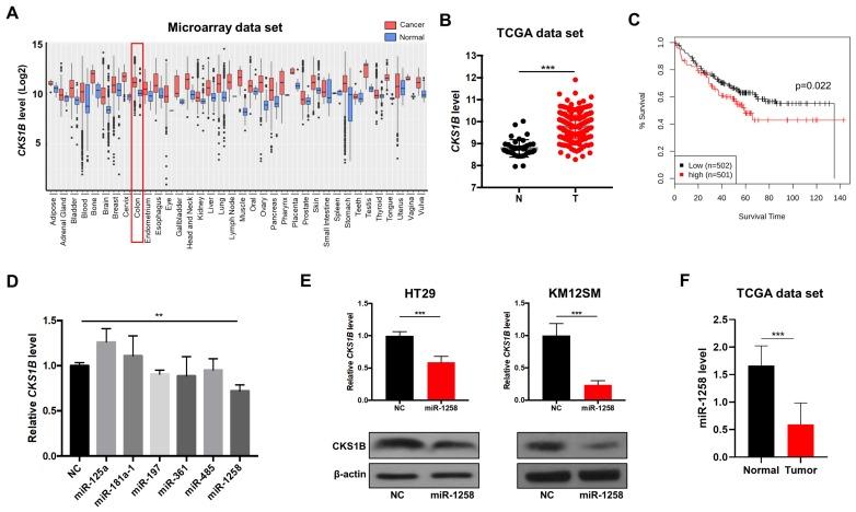 https://cdn.ncbi.nlm.nih.gov/pmc/blobs/ce52/6896137/e7ccdc644603/genes-10-00912-g001.jpg