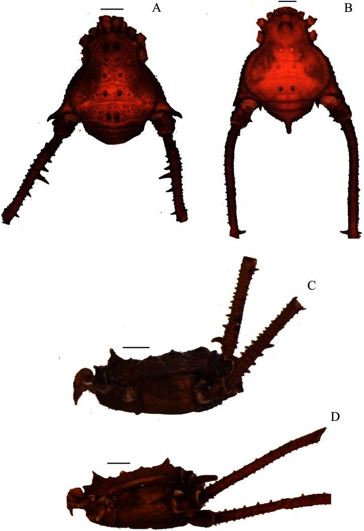 https://cdn.ncbi.nlm.nih.gov/pmc/blobs/ce52/8485841/027fe7698f89/peerj-09-11682-g001.jpg