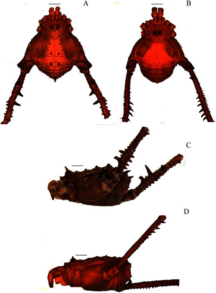 https://cdn.ncbi.nlm.nih.gov/pmc/blobs/ce52/8485841/16d589df374c/peerj-09-11682-g003.jpg