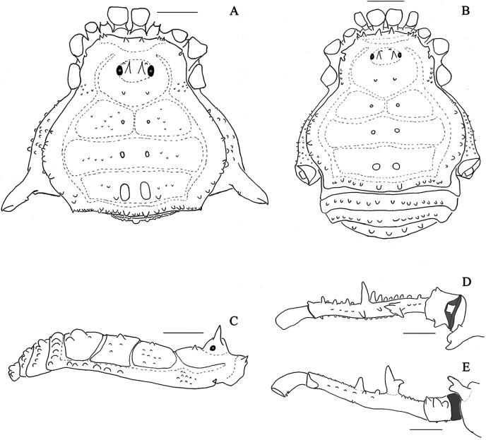 https://cdn.ncbi.nlm.nih.gov/pmc/blobs/ce52/8485841/16f416bd9737/peerj-09-11682-g021.jpg
