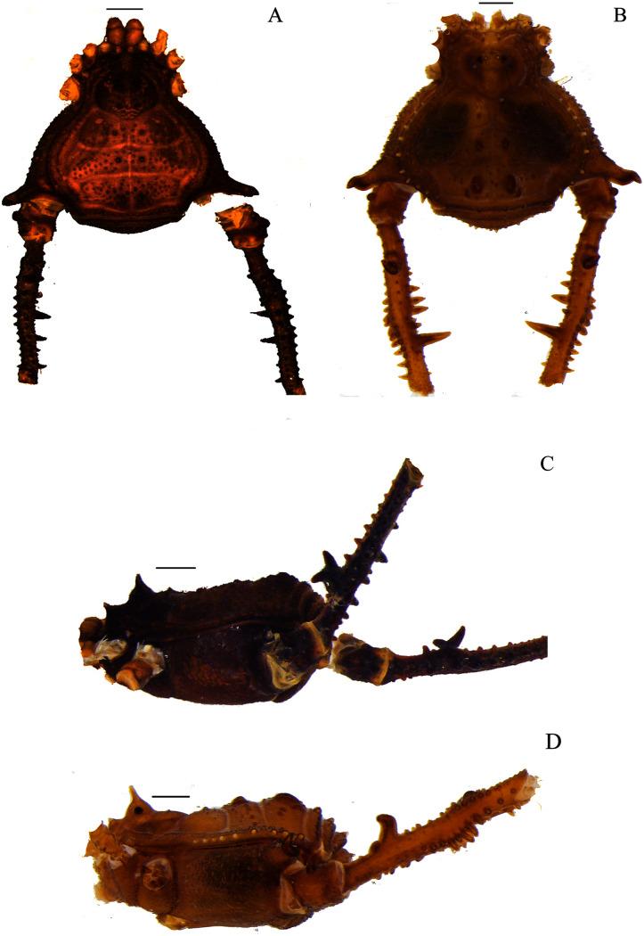 https://cdn.ncbi.nlm.nih.gov/pmc/blobs/ce52/8485841/20f172bf837a/peerj-09-11682-g007.jpg