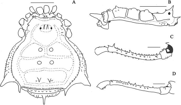 https://cdn.ncbi.nlm.nih.gov/pmc/blobs/ce52/8485841/416c212d7296/peerj-09-11682-g020.jpg