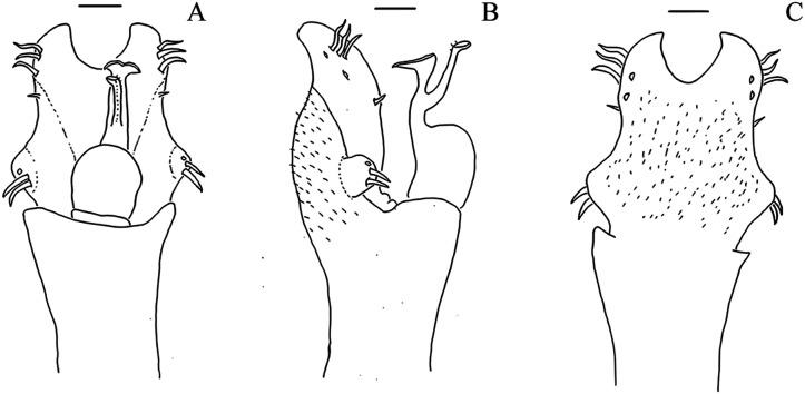 https://cdn.ncbi.nlm.nih.gov/pmc/blobs/ce52/8485841/6a633337d9ac/peerj-09-11682-g019.jpg