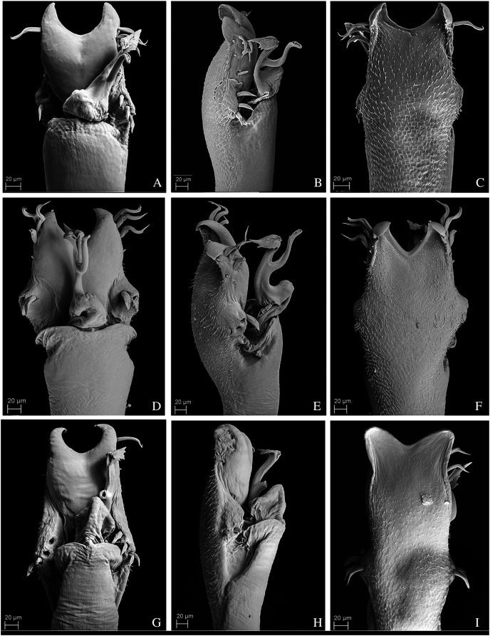 https://cdn.ncbi.nlm.nih.gov/pmc/blobs/ce52/8485841/93416f896c62/peerj-09-11682-g014.jpg