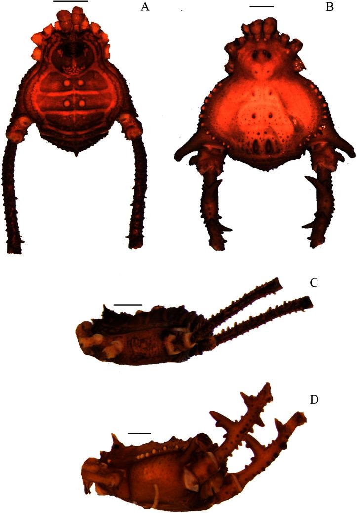 https://cdn.ncbi.nlm.nih.gov/pmc/blobs/ce52/8485841/9e0f6bd9fc39/peerj-09-11682-g005.jpg