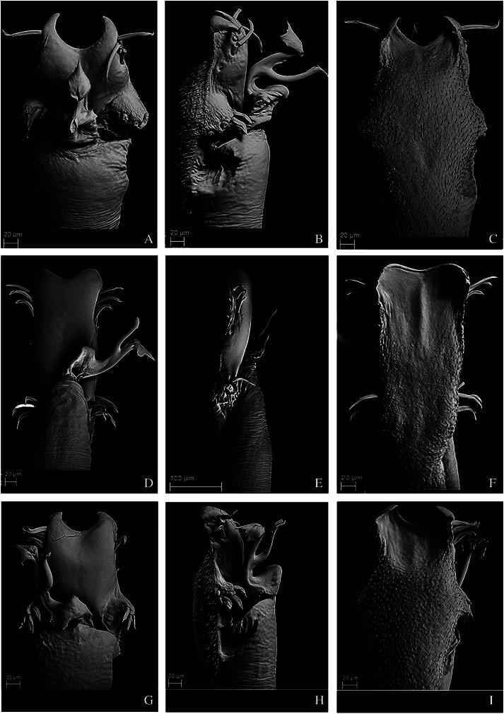 https://cdn.ncbi.nlm.nih.gov/pmc/blobs/ce52/8485841/de7ad43f21ef/peerj-09-11682-g011.jpg