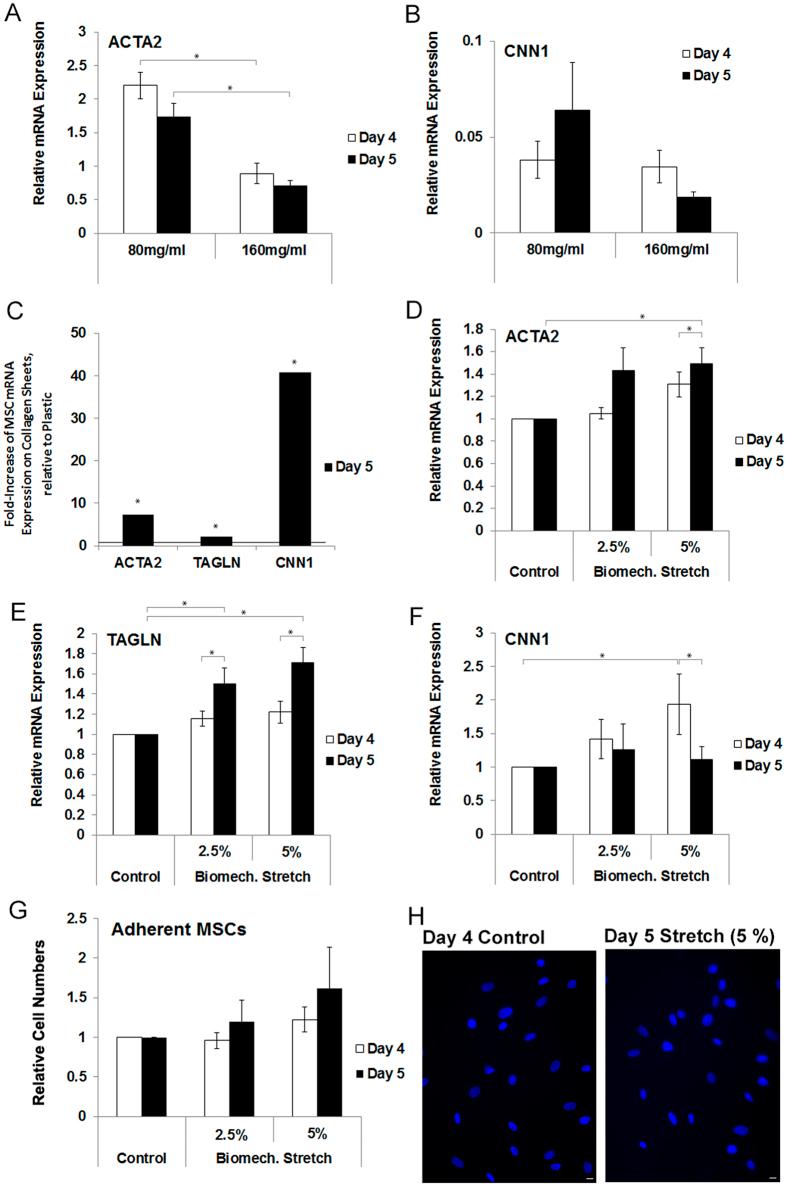 https://cdn.ncbi.nlm.nih.gov/pmc/blobs/ce54/5075785/00b6402cb8cb/srep35840-f5.jpg