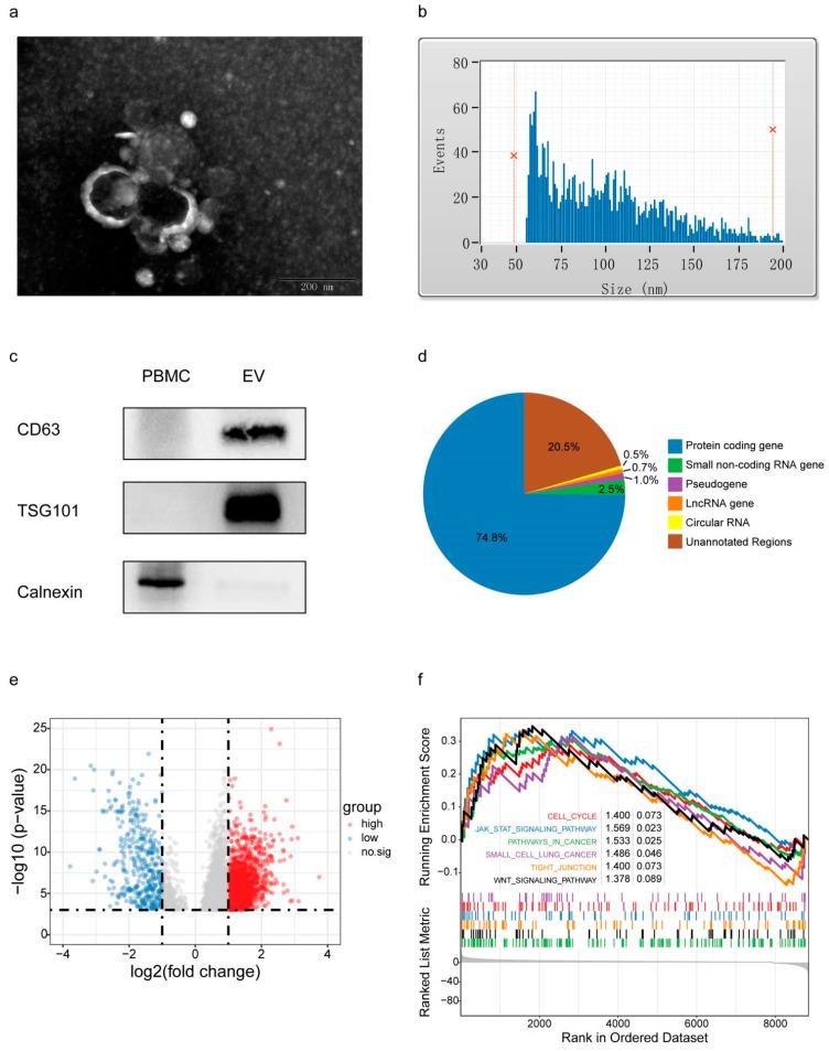 https://cdn.ncbi.nlm.nih.gov/pmc/blobs/ce54/9688902/269ecb950ae7/cancers-14-05493-g001.jpg