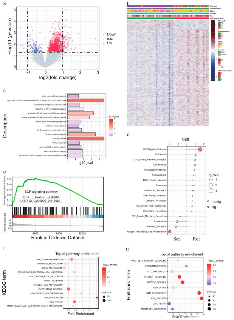 https://cdn.ncbi.nlm.nih.gov/pmc/blobs/ce54/9688902/4774331296c2/cancers-14-05493-g002.jpg