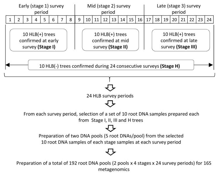 https://cdn.ncbi.nlm.nih.gov/pmc/blobs/ce56/10781011/5089dbcb5bcb/plants-13-00080-g001.jpg