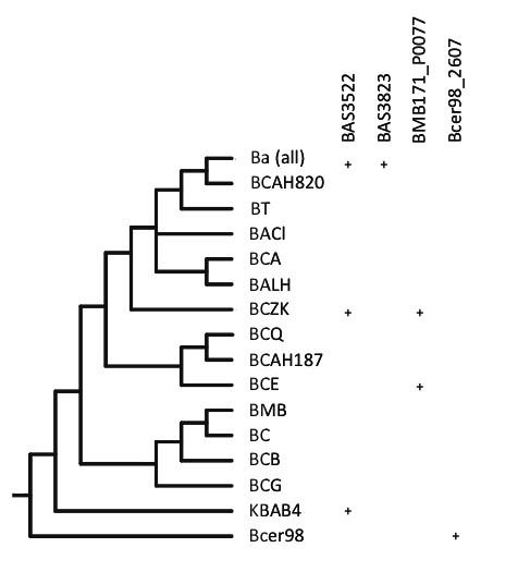 https://cdn.ncbi.nlm.nih.gov/pmc/blobs/ce56/3171730/5a824e32df42/1471-2164-12-430-4.jpg