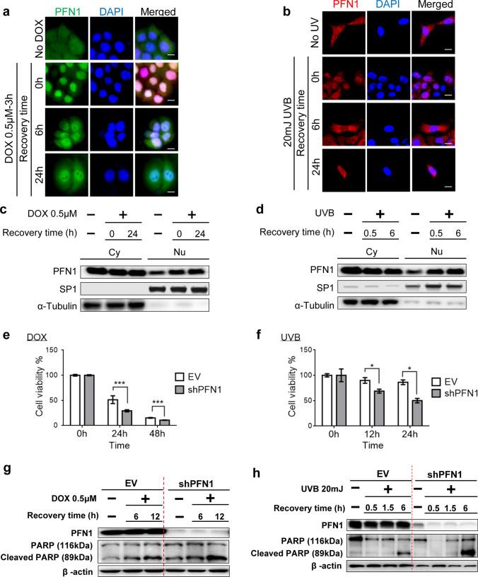 https://cdn.ncbi.nlm.nih.gov/pmc/blobs/ce58/7925496/7ca136001d04/11033_2021_6210_Fig3_HTML.jpg