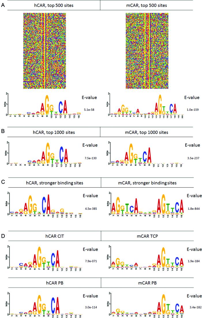 https://cdn.ncbi.nlm.nih.gov/pmc/blobs/ce5e/6144799/fa6cd3da5285/gky692fig7.jpg