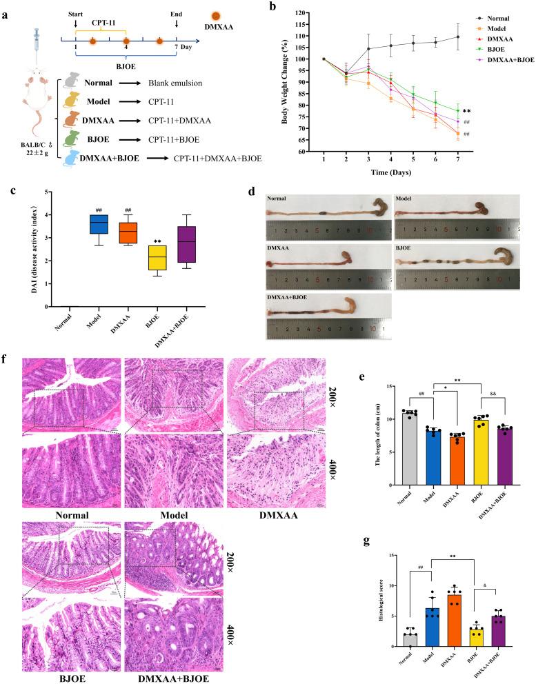 https://cdn.ncbi.nlm.nih.gov/pmc/blobs/ce60/12205714/ab2a37ea1506/DDDT-19-5329-g0006.jpg