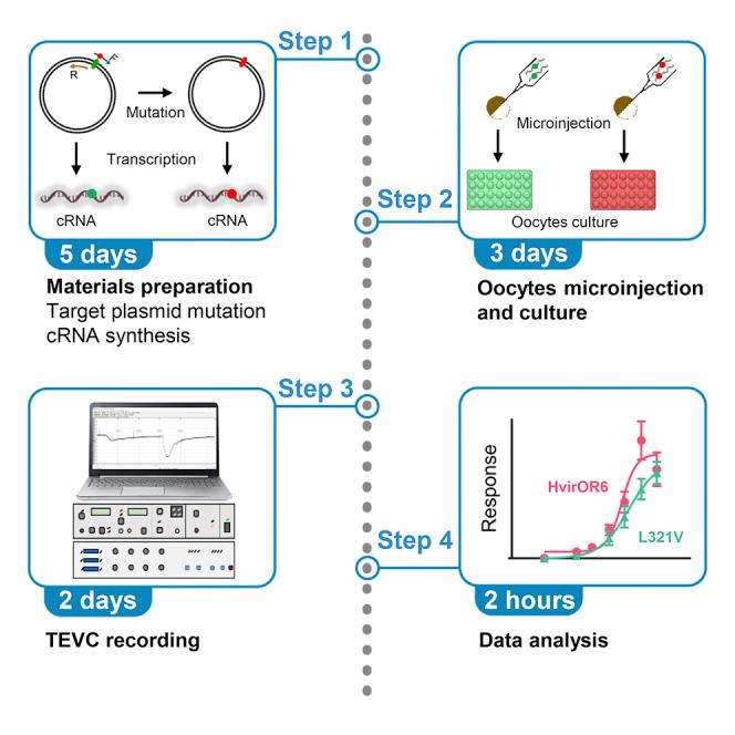 https://cdn.ncbi.nlm.nih.gov/pmc/blobs/ce60/8931473/5a2cd74df432/fx1.jpg
