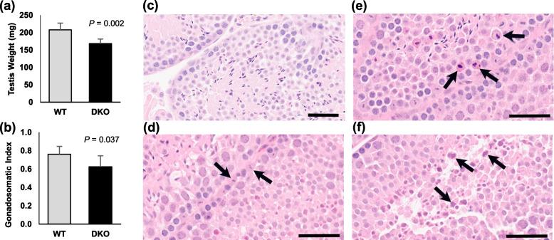 https://cdn.ncbi.nlm.nih.gov/pmc/blobs/ce61/9555066/bdb48f598154/12958_2022_1018_Fig6_HTML.jpg