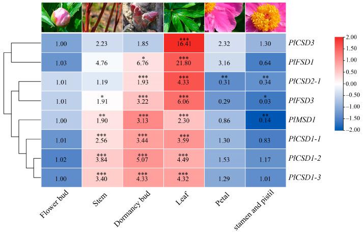 https://cdn.ncbi.nlm.nih.gov/pmc/blobs/ce64/11428480/a4c1dbd67977/antioxidants-13-01128-g004.jpg