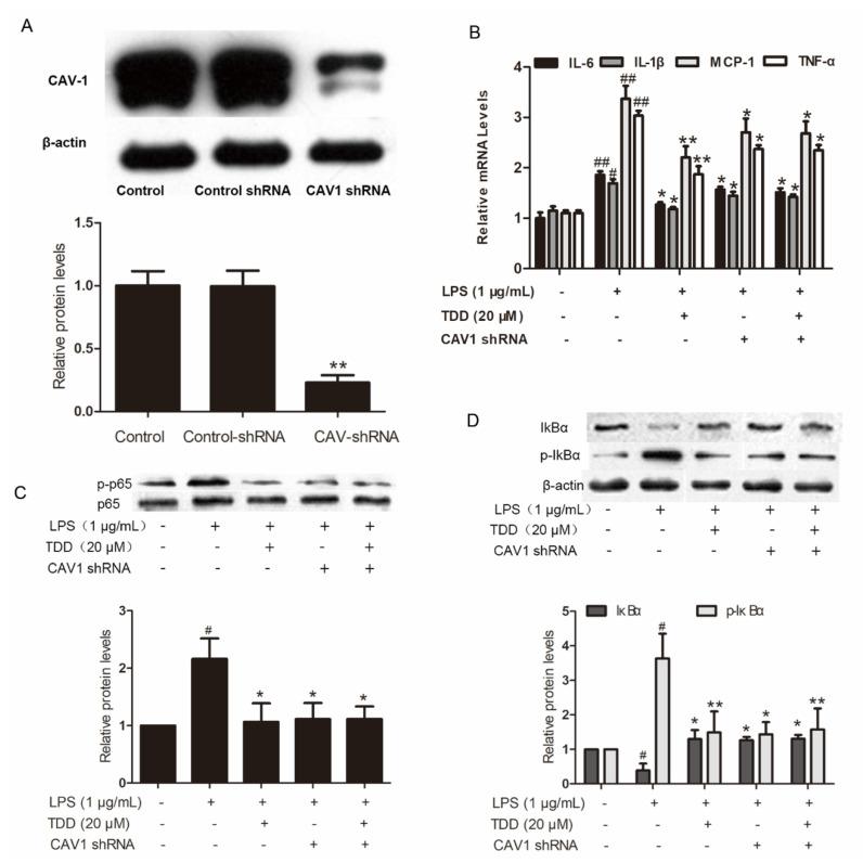 https://cdn.ncbi.nlm.nih.gov/pmc/blobs/ce67/9101869/22ac61f27b04/molecules-27-02884-g006.jpg
