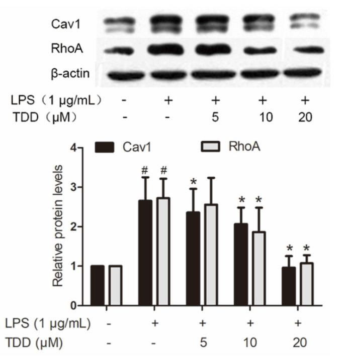 https://cdn.ncbi.nlm.nih.gov/pmc/blobs/ce67/9101869/7b67bc72c188/molecules-27-02884-g005.jpg