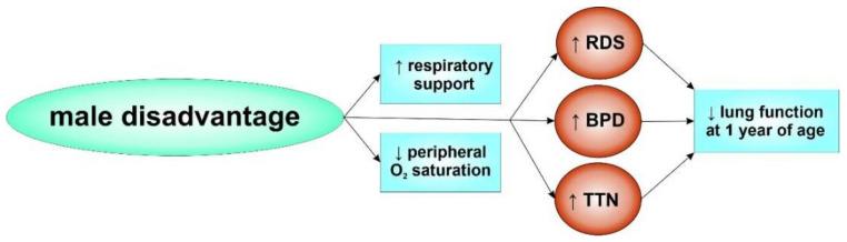 https://cdn.ncbi.nlm.nih.gov/pmc/blobs/ce68/8946560/953f81b6cd70/biomolecules-12-00437-g002.jpg