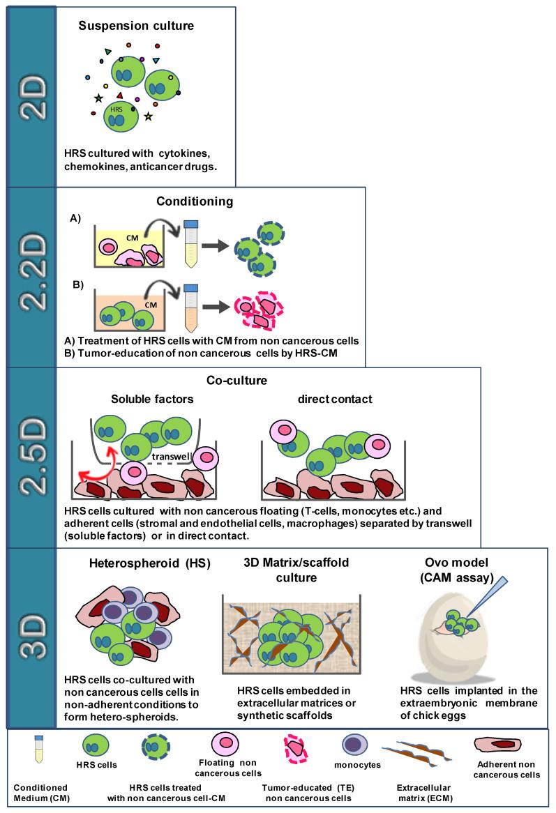 https://cdn.ncbi.nlm.nih.gov/pmc/blobs/ce6a/9139207/695c1a174649/cancers-14-02427-g002.jpg