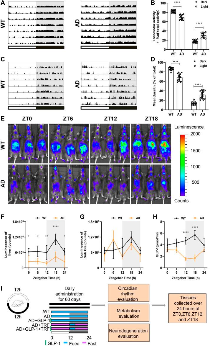https://cdn.ncbi.nlm.nih.gov/pmc/blobs/ce6c/9487156/930a0dad9dee/fphys-13-911437-g001.jpg