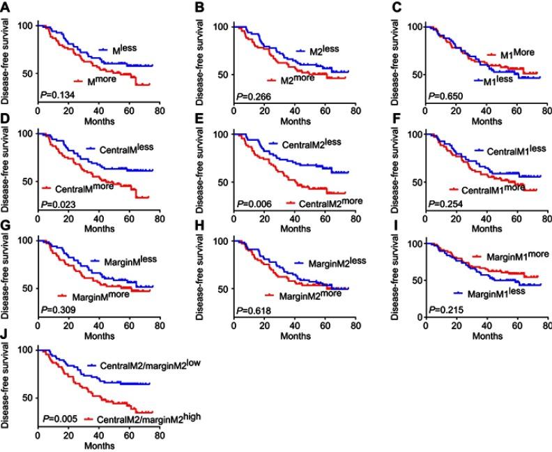 https://cdn.ncbi.nlm.nih.gov/pmc/blobs/ce6e/6613613/e974da62c2d1/CMAR-11-6125-g0005.jpg