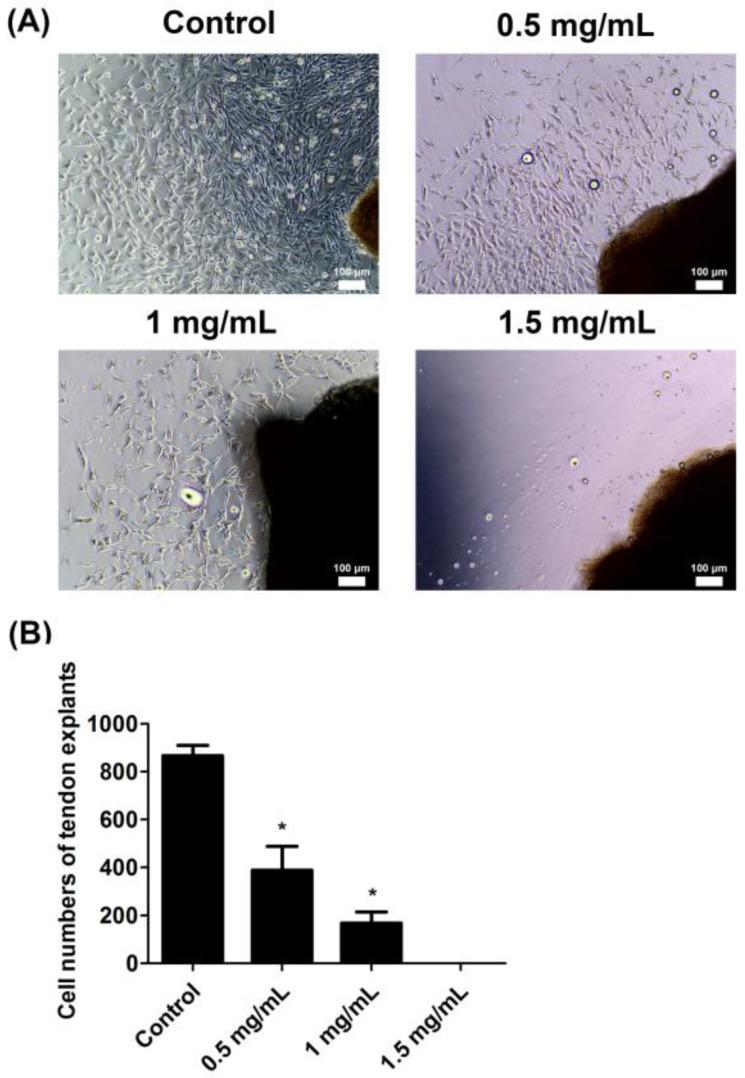 https://cdn.ncbi.nlm.nih.gov/pmc/blobs/ce71/9368801/08c1beb11393/ijms-23-08787-g001.jpg
